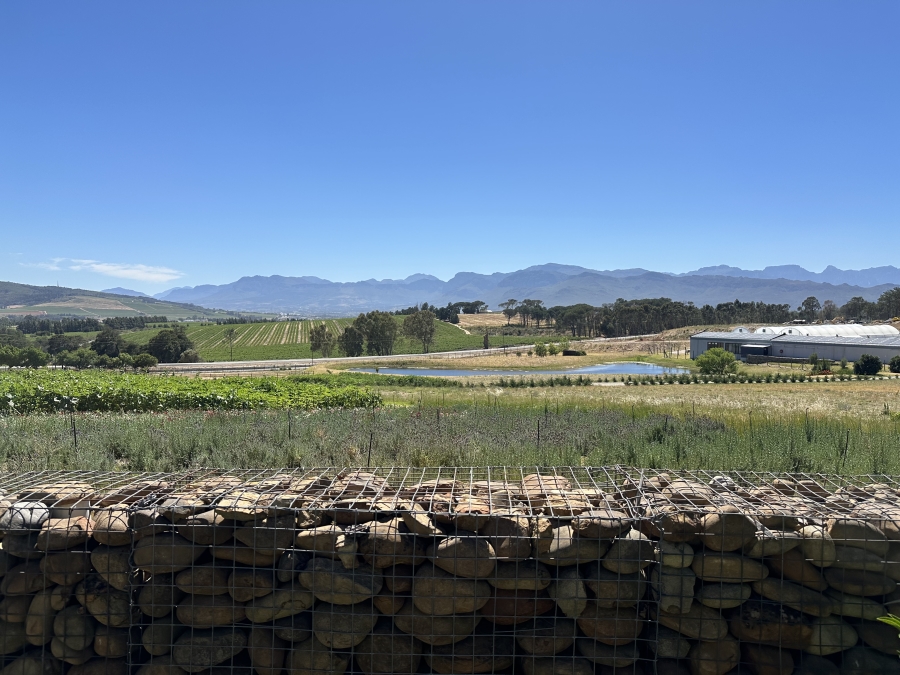 Commercial Property for Sale in Klapmuts Western Cape